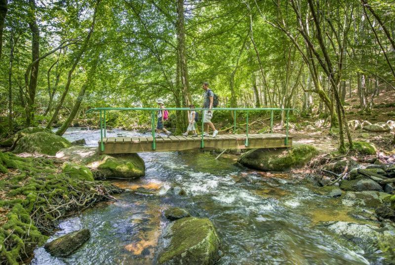 Studio En Auvergne Le Ruisseau Daire Saint-Priest-Bramefant Dış mekan fotoğraf