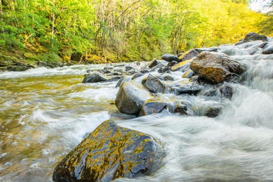 Studio En Auvergne Le Ruisseau Daire Saint-Priest-Bramefant Dış mekan fotoğraf